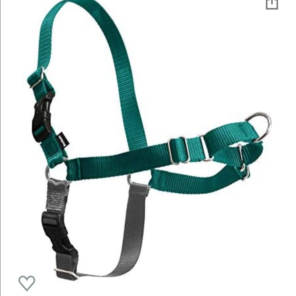 Dog harness